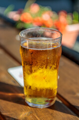 Glass of beer on the table