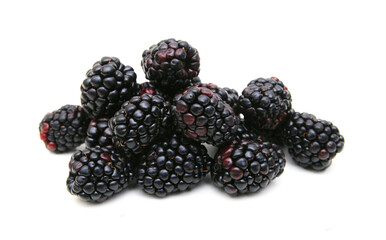 Fresh blackberry on white background