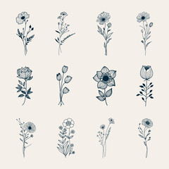 Hand drawn flowers bouquet wildflowers set botanical floral leaves tattoo doodle outline drawings sketch line art vector illustration