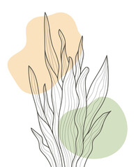 Hand Drawn Flat Design Simple Flower and Tropical Plant Outline