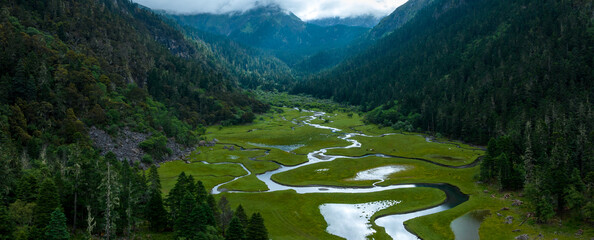 Beautiful forest wetland landscape in Sichuan,China