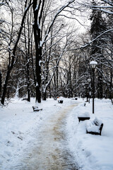 Narnia in Rzeszow © M