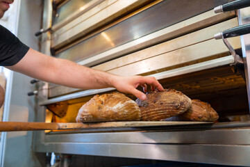 Male employee baker of bakery in workshop workshop of artisan bakery baking loaves in oven