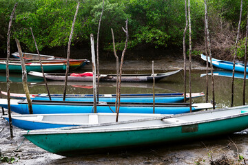 Fototapeta na wymiar Several fishing canoes docked on the river.