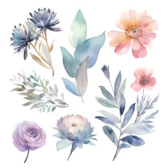 Fototapeta na wymiar Watercolor flowers set. Hand painted floral elements isolated on white background.