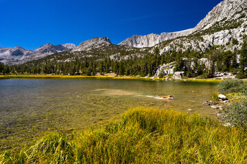 High Sierra Lakes with Colorful Folliage and Streams