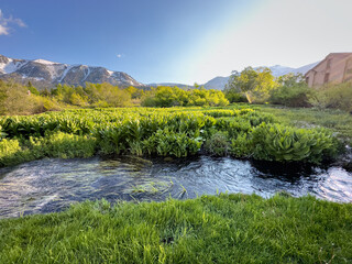 High Sierra Lakes with Colorful Folliage and Streams