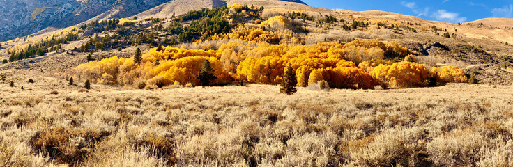 High Sierra Lakes with Colorful Folliage and Streams