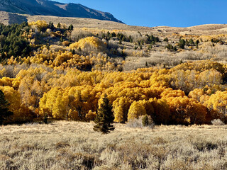 High Sierra Lakes with Colorful Folliage and Streams