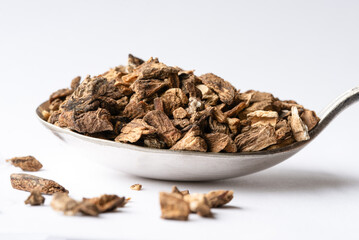 Burdock Root on a Vintage Spoon