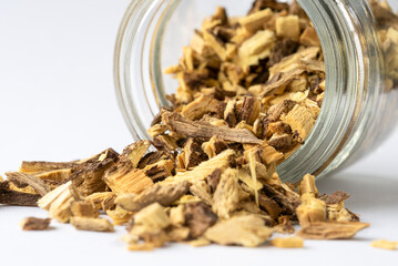 Dandelion Root Spilled from a Jar