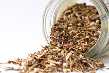 Echinacea Purpurea Root Spilled from a Jar - 619985742