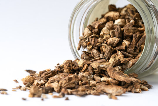 Burdock Root Spilled from a Jar