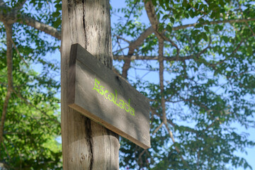 sign in a forest, sign on a tree, wooden sign post,wooden information board in the forest, wood board written climbing
 