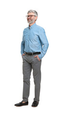 Naklejka premium Mature businessman in stylish clothes posing on white background