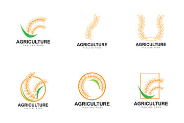Rice Logo, Farm Wheat Logo Design, Vector Wheat Rice Icon Template Illustration