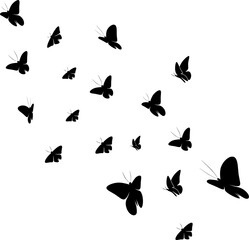 Fototapeta na wymiar fluttering butterfly silhouette design illustration