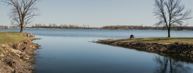 Naked trees by lake