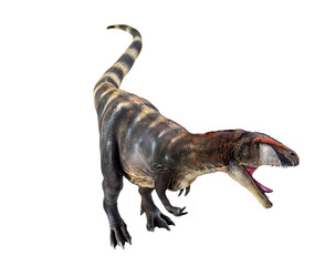 dinosaur , Carcharadontosaurus  isolated background