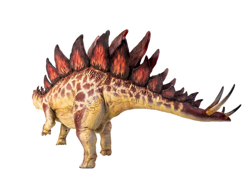 dinosaur , stegosaurus  isolated background