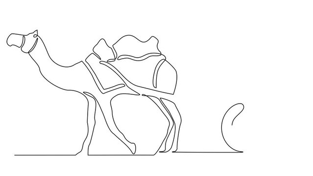 Animated self drawing of single continuous line draw for people are riding camels in the desert as symbol for Hijrah. Islamic new year design illustration. Islamic design with full length animation