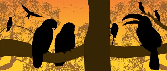 avez, figuras, cotorros, loros, tucan, gaviota, ave, colibri, bosque, arbol, ramas © fergomez