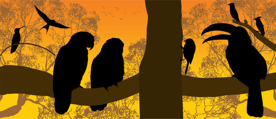 avez, figuras, cotorros, loros, tucan, gaviota, ave, colibri, bosque, arbol, ramas © fergomez