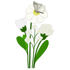 beautiful flowers in the garden