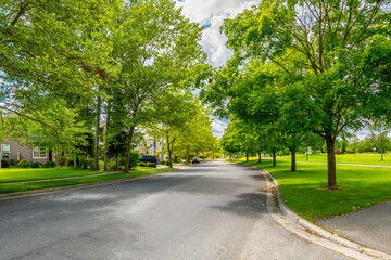 Fototapeta na wymiar A shady tree lined street in a subdivision of homes across from a park in the suburban city of Coeur d'Alene, Idaho USA.