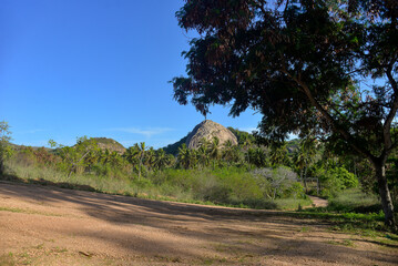 Obraz premium road to the mountains, trees on the hill, trees in the mountains, landscape with trees and sky, landscape with trees, coconut trees in the mountains 