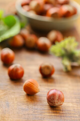 Obraz na płótnie Canvas Nuts with green leaves. Healthy fats.Farmed organic hazelnuts.Nut Harvest Season.