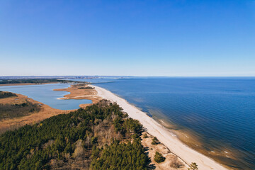 Aerial view drone of river goes into the sea. Delta of Vistula river goes in Baltic Sea in Sobieszewo Gdansk Poland. Forest and small village around river