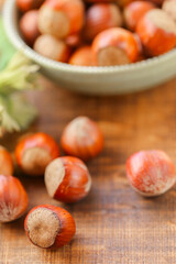 Obraz premium hazelnut Harvest Season.Nuts with green leaves. Healthy fats.Farmed organic hazelnuts.