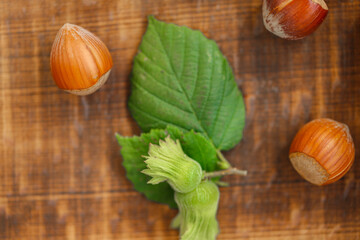 Fototapeta na wymiar Hazelnuts with green leaves .Nut Harvest Season.Healthy fats. Fresh harvest of hazelnuts. Farmed organic ripe hazelnuts.