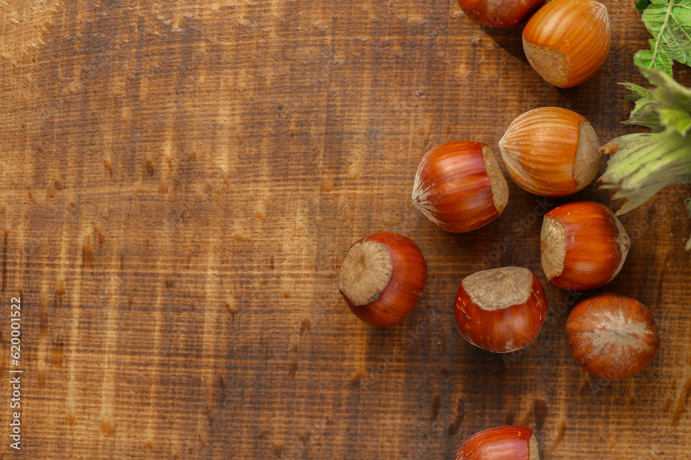 Wall mural harvest of hazelnuts.Nut Harvest Season.Nuts with green leaves. Healthy fats.Farmed organic hazelnuts.