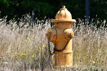 new yellow fire hydrant amongst flowers and grass