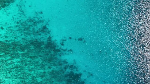 Sea aerial view of Coral reefs. Crystal clear water of the tropical sea. Siquijor, Philippines.