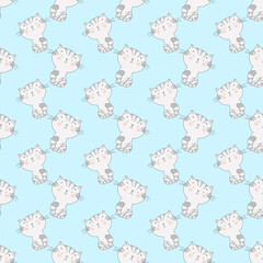 wallpapers about intelligent and cute cat