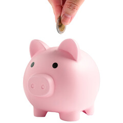 Pink piggy bank with human hand finger dropping coins on isolated white background. Pig box jar...