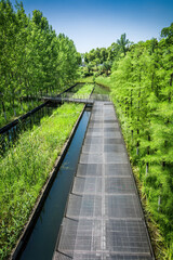 Obraz premium Asphalt road in modern city park