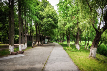 Nice green forest landscape in the city