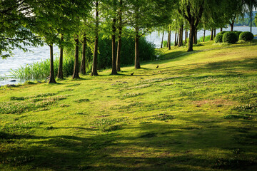 Numbers and reflections in city parks