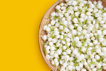 Thai jasmine flower on bamboo weave plate on yellow background.