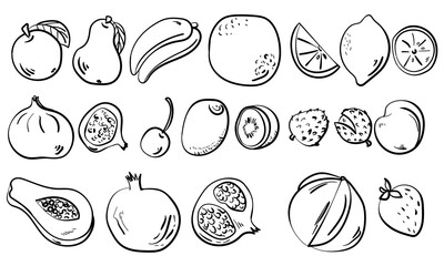 Fototapeta na wymiar Set of outline fruits in doodle style, contour whole and sliced fruit