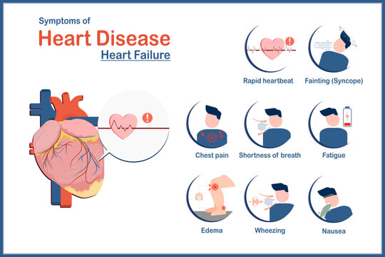 Cardiovascular Disease main image 1