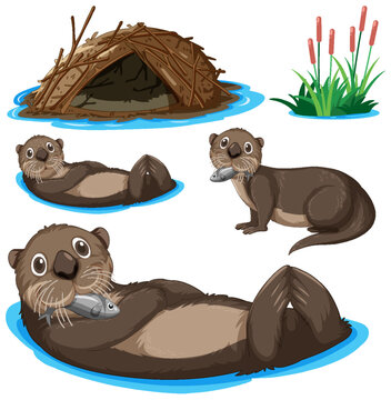 Set of otter cartoon character