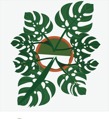 Monstera plant cartoon 3d