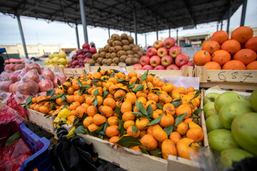 Fototapeta na wymiar Clementines in the Samarkand bazaar.