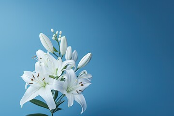 Continuous design of blue background with white lilies. Generative AI