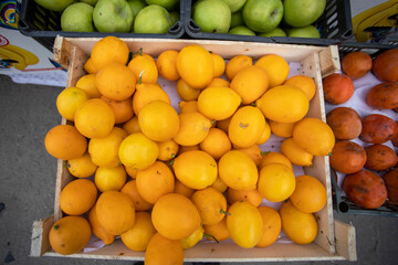 The lemons from the greenhouse.